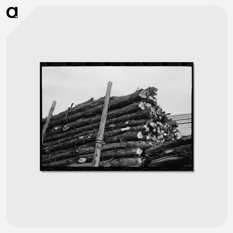アートポストカード-Fence Posts En Route for Oklahoma
 - ラッセル リー Postcard.