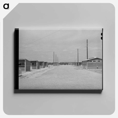 アートパネル-Migratory Labor Camp Street, Sinton, Texas
 - ラッセル リー Canvas.