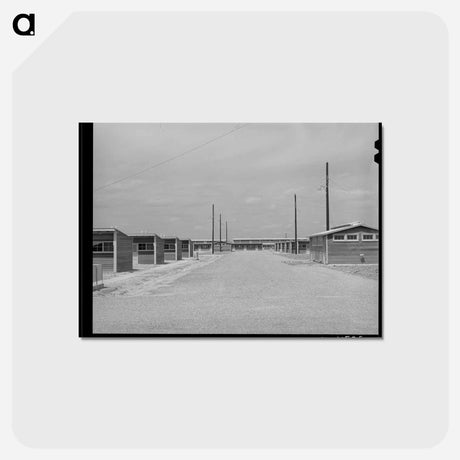 アートポストカード-Migratory Labor Camp Street, Sinton, Texas
 - ラッセル リー Postcard.
