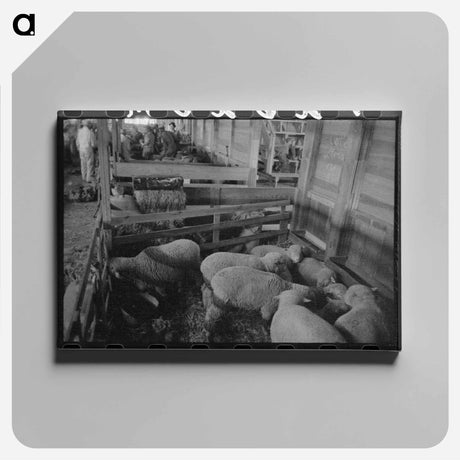 アートパネル-Interior of Sheep Show Barn, San Angelo Fat Stock Show
 - ラッセル リー Canvas.