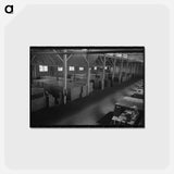 アートポストカード-Canned Salmon in Warehouse, Astoria, Oregon
 - ラッセル リー Postcard.