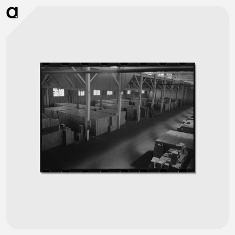 アートポストカード-Canned Salmon in Warehouse, Astoria, Oregon
 - ラッセル リー Postcard.