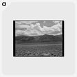 アートポストカード-Sagebrush Country, South of Costilla, New Mexico
 - ラッセル リー Postcard.