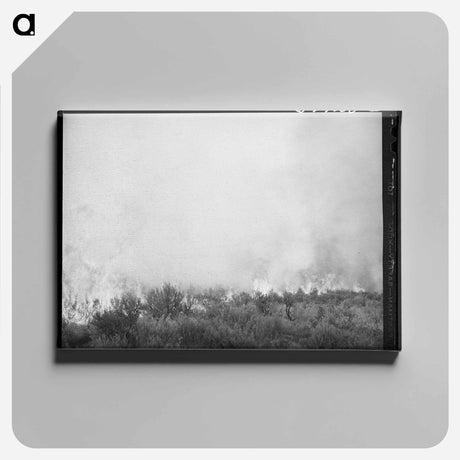 アートパネル-Grass Fire, Boise County, Idaho
 - ラッセル リー Canvas.