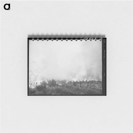 アートメモ帳-Grass Fire, Boise County, Idaho
 - ラッセル リー Memo.