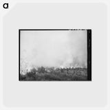 アートポストカード-Grass Fire, Boise County, Idaho
 - ラッセル リー Postcard.
