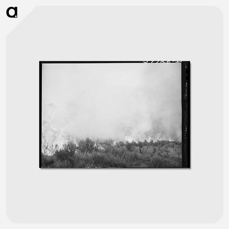 アートポストカード-Grass Fire, Boise County, Idaho
 - ラッセル リー Postcard.