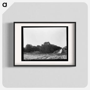 アートポスター-Irrigating Citrus Orchard near San Juan, Texas
 - ラッセル リー Poster.