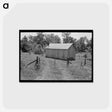 アートポストカード-Home of Agricultural Day Laborer Near Sallisaw, Oklahoma
 - ラッセル リー Postcard.