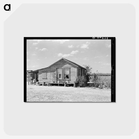 アートポストカード-Bench of Potted Plants at Side of Home
 - ラッセル リー Postcard.