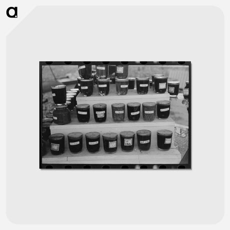 アートポストカード-Roadside Jelly Stand
 - ラッセル リー Postcard.