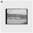 アートポストカード-Farmland and Farmstead, Garden Valley, Boise County, Idaho
 - ラッセル リー Postcard.