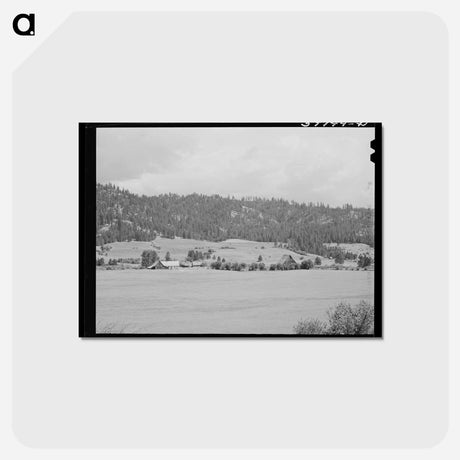 アートポストカード-Farmland and Farmstead, Garden Valley, Boise County, Idaho
 - ラッセル リー Postcard.