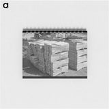 アートメモ帳-Shingles Made Near Jefferson, Texas
 - ラッセル リー Memo.