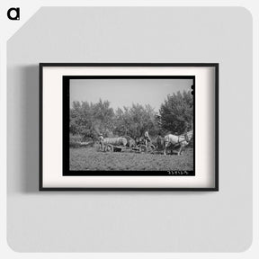 アートポスター-FSA Cooperative Sprayer, Cache County, Utah
 - ラッセル リー Poster.