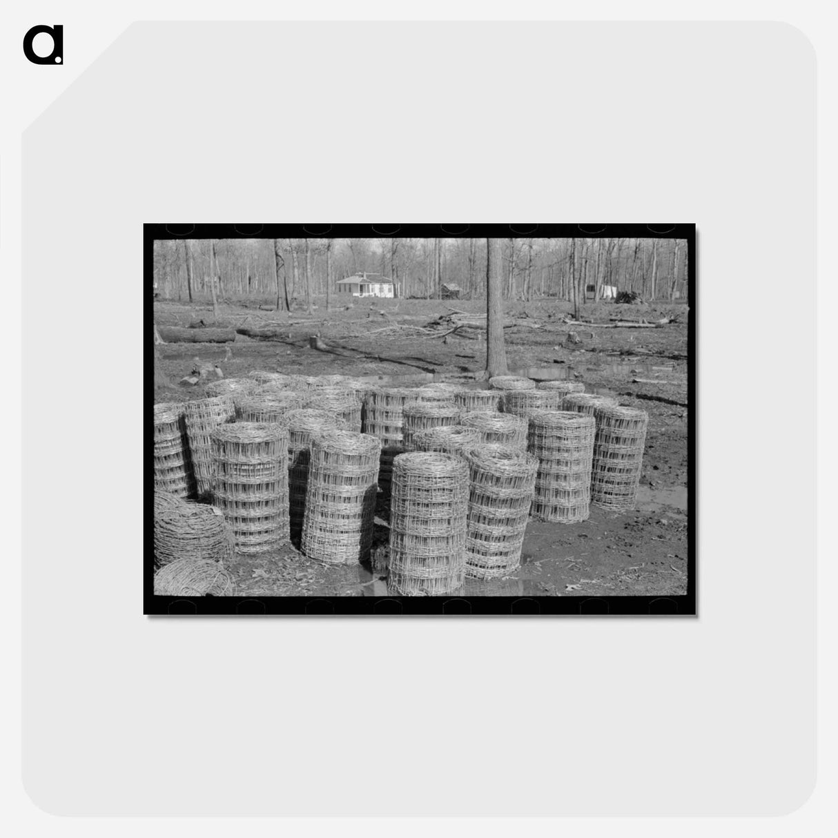 アートポストカード-Woven Wire Fence, Chicot Farms
 - ラッセル リー Postcard.