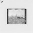 アートメモ帳-Hogs on the Levee Near Cache, Illinois
 - ラッセル リー Memo.