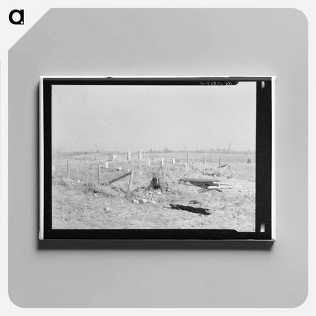 アートパネル-Graveyard in Cut-Over Forest Land
 - ラッセル リー Canvas.