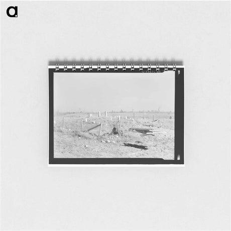 アートメモ帳-Graveyard in Cut-Over Forest Land
 - ラッセル リー Memo.