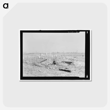 アートポストカード-Graveyard in Cut-Over Forest Land
 - ラッセル リー Postcard.
