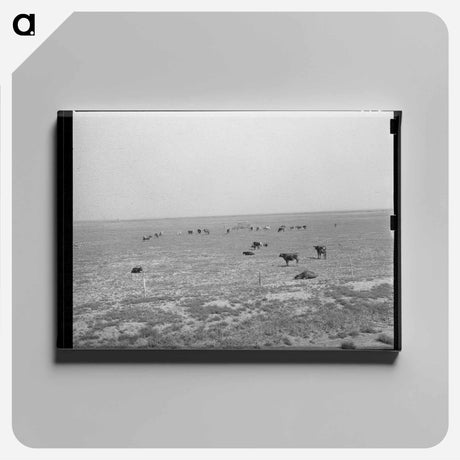 アートパネル-Cattle Grazing near Oakley, Kansas
 - ラッセル リー Canvas.