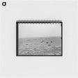 アートメモ帳-Cattle Grazing near Oakley, Kansas
 - ラッセル リー Memo.