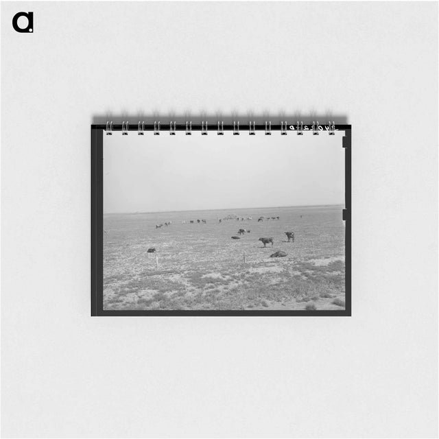 アートメモ帳-Cattle Grazing near Oakley, Kansas
 - ラッセル リー Memo.