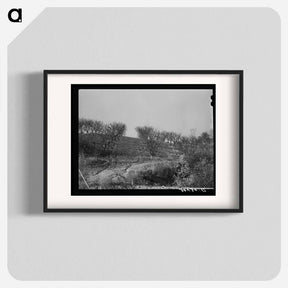 アートポスター-Erosion in the Orchards, Placer County, California
 - ラッセル リー Poster.