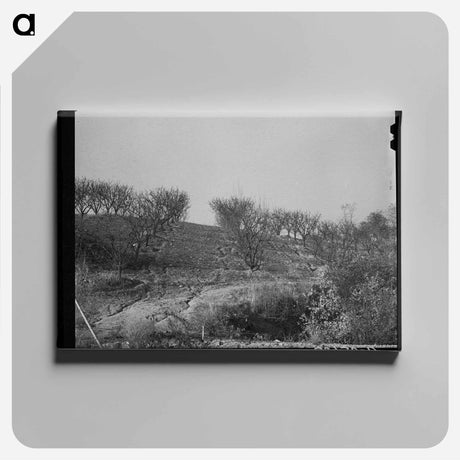アートパネル-Erosion in the Orchards, Placer County, California
 - ラッセル リー Canvas.