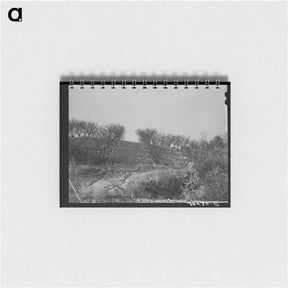 アートメモ帳-Erosion in the Orchards, Placer County, California
 - ラッセル リー Memo.