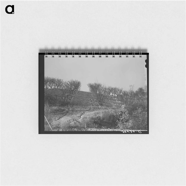 アートメモ帳-Erosion in the Orchards, Placer County, California
 - ラッセル リー Memo.