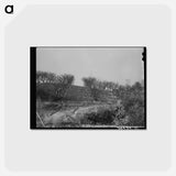 アートポストカード-Erosion in the Orchards, Placer County, California
 - ラッセル リー Postcard.
