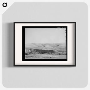 アートポスター-Wheat Field, Walla Walla County, Washington
 - ラッセル リー Poster.