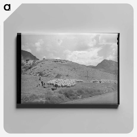 アートパネル-Driving Fat Lambs to Cimarron, Colorado
 - ラッセル リー Canvas.