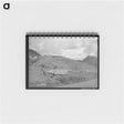 アートメモ帳-Driving Fat Lambs to Cimarron, Colorado
 - ラッセル リー Memo.