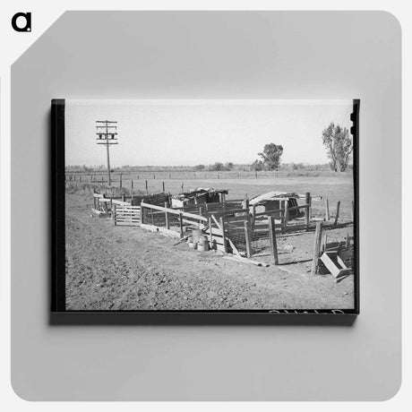 アートパネル-Hog Pens of Elof Hansen, Yuba County, California
 - ラッセル リー Canvas.