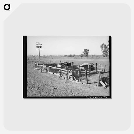アートポストカード-Hog Pens of Elof Hansen, Yuba County, California
 - ラッセル リー Postcard.