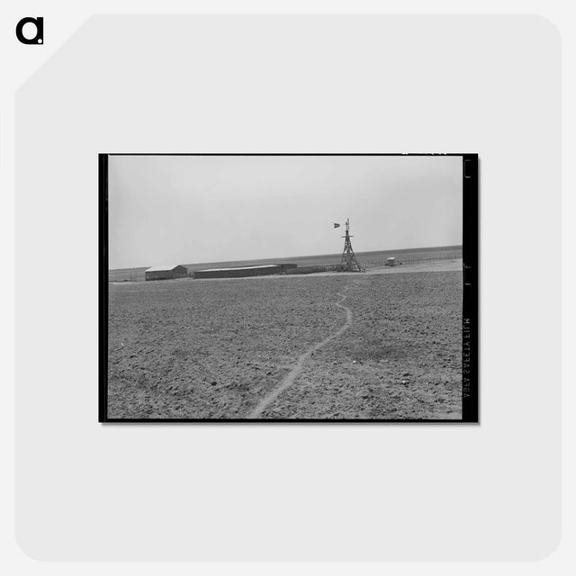 アートポストカード-Texas Farm with Windmill, Hog Pen, and Shed
 - ラッセル リー Postcard.