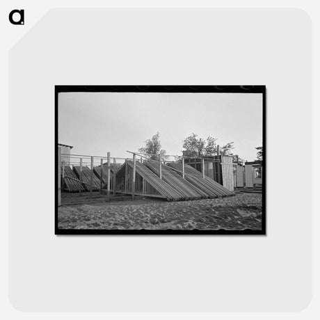 アートポストカード-House Plant and Building Materials
 - ラッセル リー Postcard.