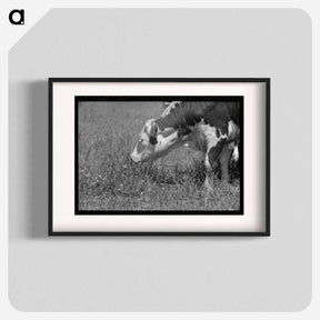 アートポスター-Yearling. Cruzen Ranch, Valley County, Idaho
 - ラッセル リー Poster.