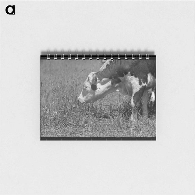 アートメモ帳-Yearling. Cruzen Ranch, Valley County, Idaho
 - ラッセル リー Memo.