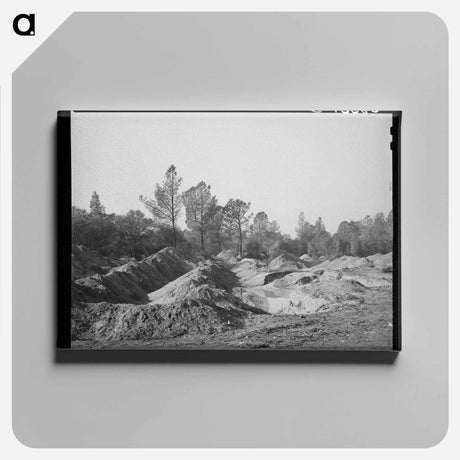 アートパネル-Placer Mining, Old Virginia City, Placer County, California
 - ラッセル リー Canvas.