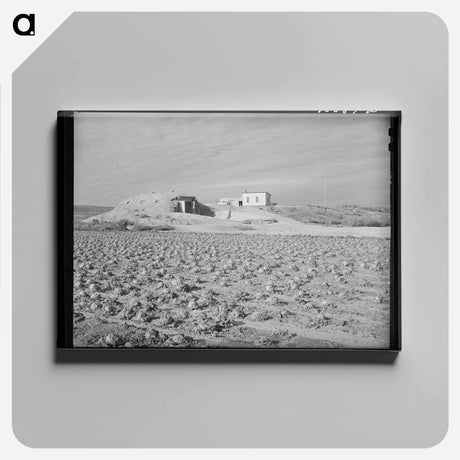 アートパネル-Farmstead, Black Canyon Project
 - ラッセル リー Canvas.