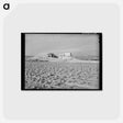 アートポストカード-Farmstead, Black Canyon Project
 - ラッセル リー Postcard.
