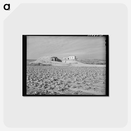 アートポストカード-Farmstead, Black Canyon Project
 - ラッセル リー Postcard.
