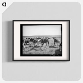 アートポスター-Hereford Cattle, Little Colorado River Valley
 - ラッセル リー Poster.