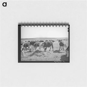 アートメモ帳-Hereford Cattle, Little Colorado River Valley
 - ラッセル リー Memo.