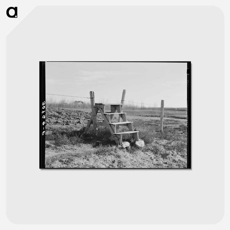 アートポストカード-Steps for Crossing Barbed Wire Fence, Sheridan County, Montana
 - ラッセル リー Postcard.