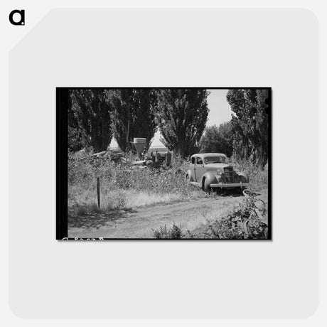 アートポストカード-FSA Trailer Camp: Defense Workers' Dormitories
 - ラッセル リー Postcard.