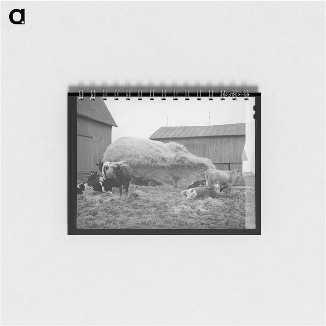 アートメモ帳-Barnyard Scene, Hancock County, Ohio
 - ラッセル リー Memo.
